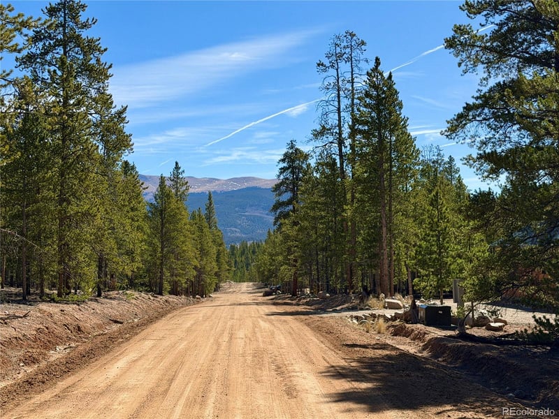341 Aspen Dr Lot 271, Leadville, CO 80461