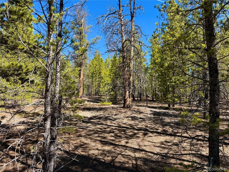 341 Aspen Dr Lot 271, Leadville, CO 80461