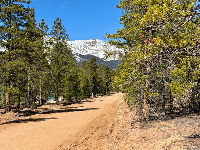 341 Aspen Dr Lot 271, Leadville, CO 80461