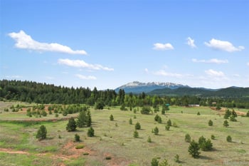 584 Sourdough Rd, Woodland Park, CO 80863