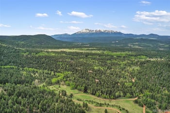 584 Sourdough Rd, Woodland Park, CO 80863