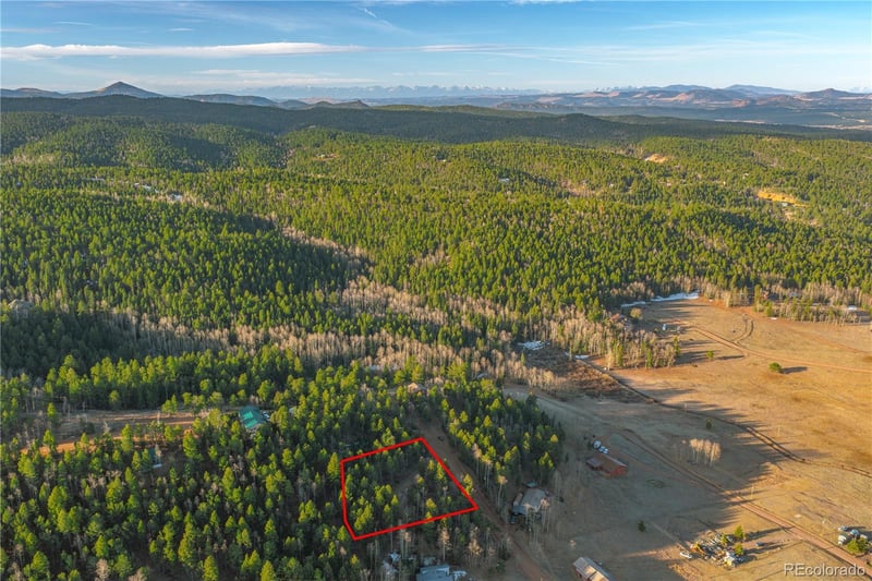88 Malmsey Ln, Divide, CO 80814