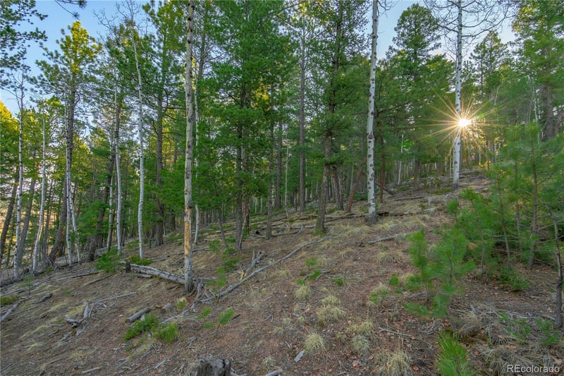 88 Malmsey Ln, Divide, CO 80814