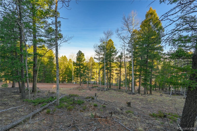88 Malmsey Ln, Divide, CO 80814