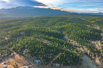 88 Malmsey Ln, Divide, CO 80814