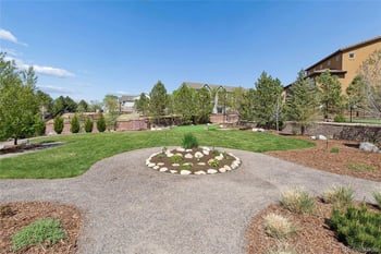 9697 Vista Hill Trl, Lone Tree, CO 80124