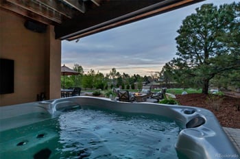 9697 Vista Hill Trl, Lone Tree, CO 80124