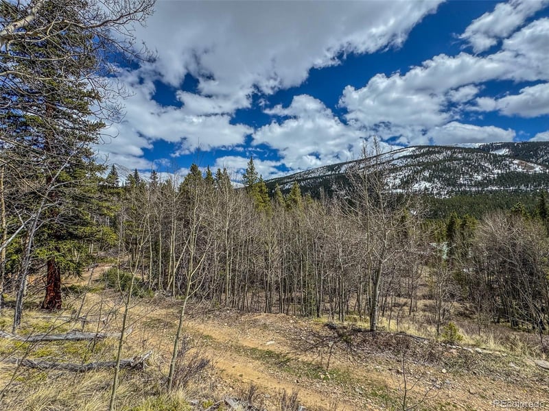 Buckeye Gulch Rd, Leadville, CO 80461