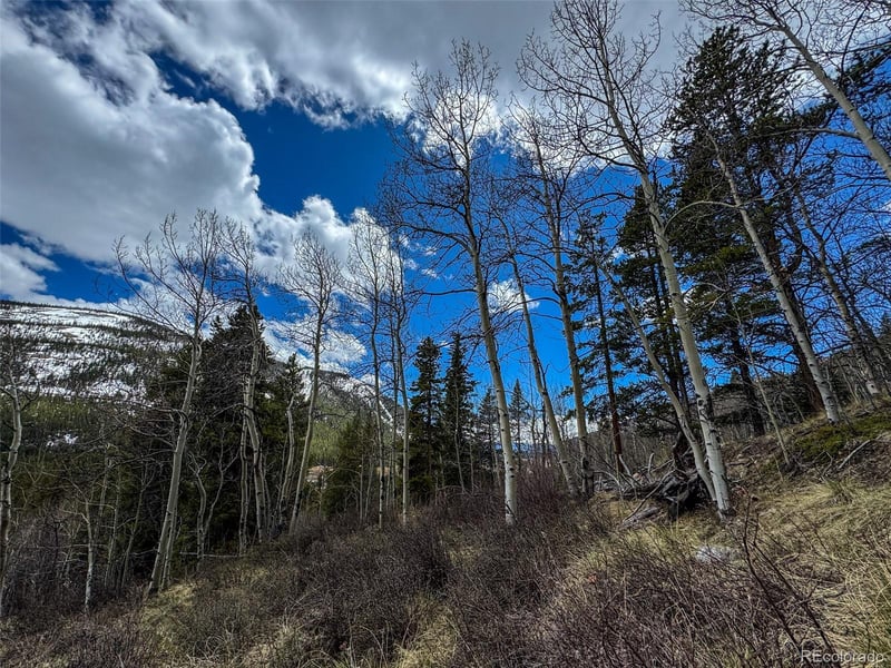 Buckeye Gulch Rd, Leadville, CO 80461