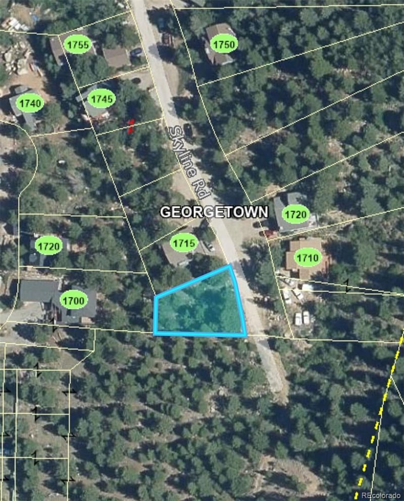 112 Skyline Rd, Georgetown, CO 80444