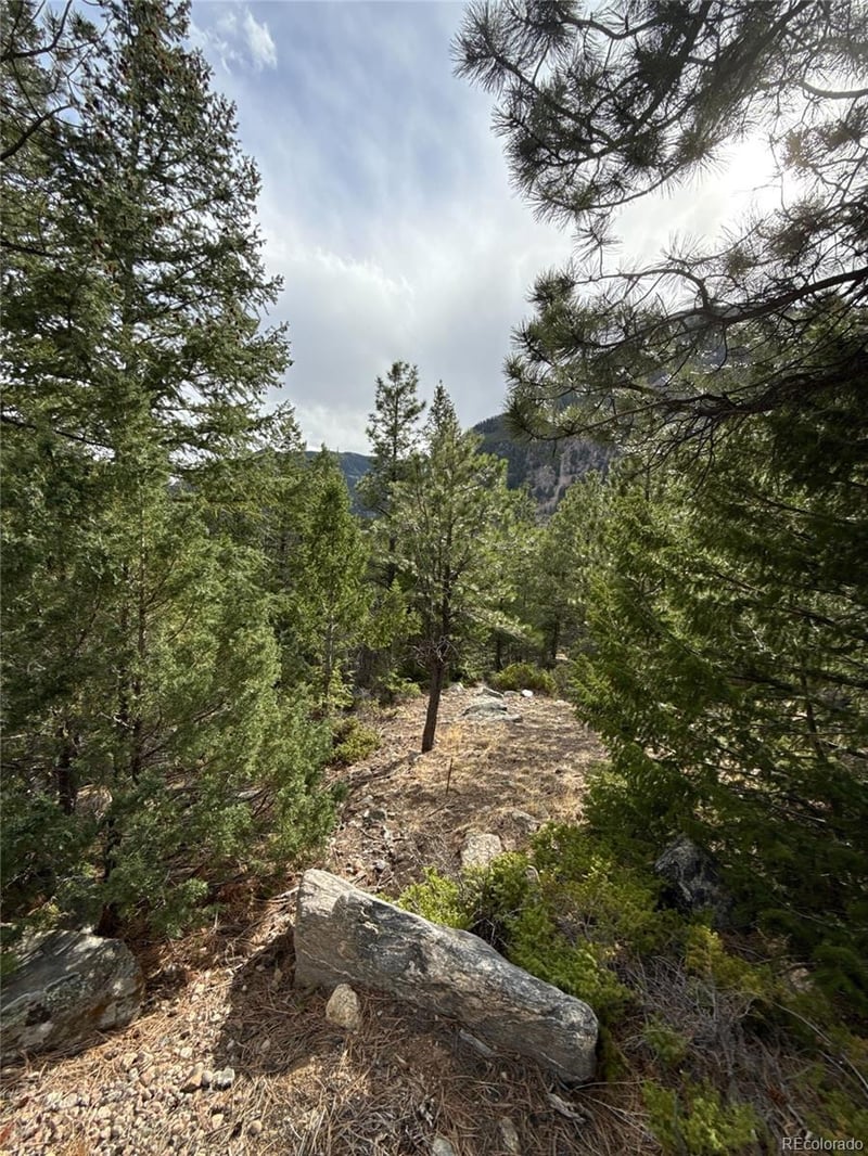 112 Skyline Rd, Georgetown, CO 80444