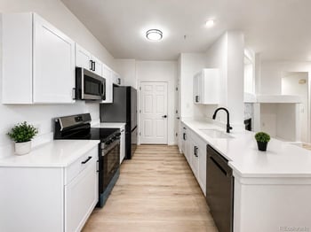 494 Black Feather Loop #106, Castle Rock, CO 80104