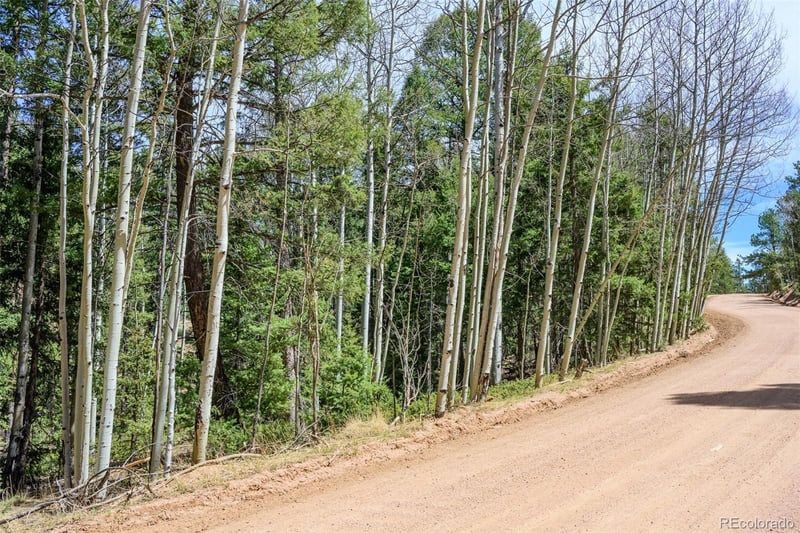 3167 Mountain Estates Rd, Florissant, CO 80816