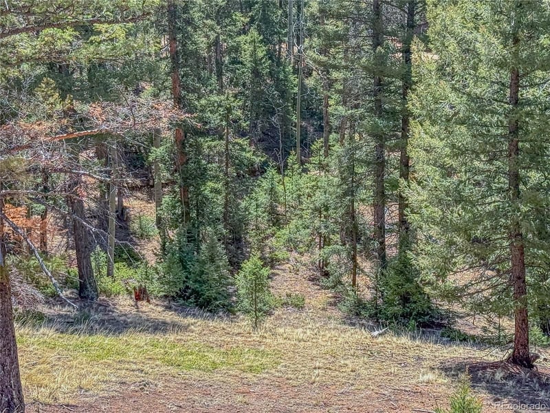 3167 Mountain Estates Rd, Florissant, CO 80816