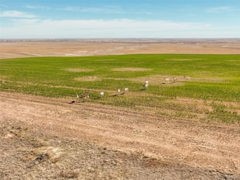 Tbd E Quincy Ave, Strasburg, CO 80136