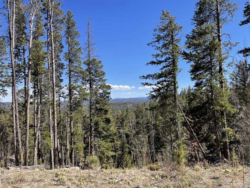 66 Piegan Ct, Red Feather Lakes, CO 80545