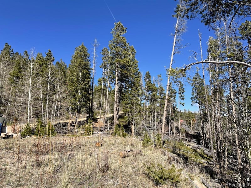 66 Piegan Ct, Red Feather Lakes, CO 80545