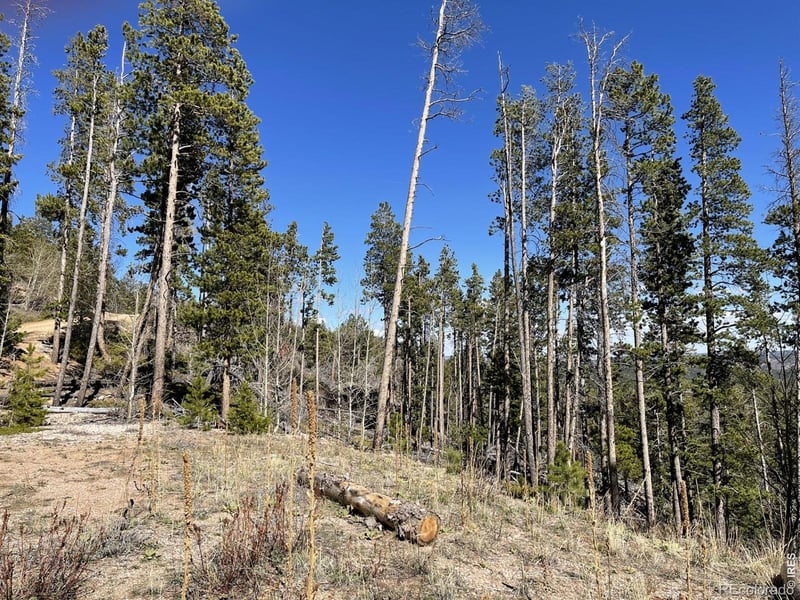 66 Piegan Ct, Red Feather Lakes, CO 80545