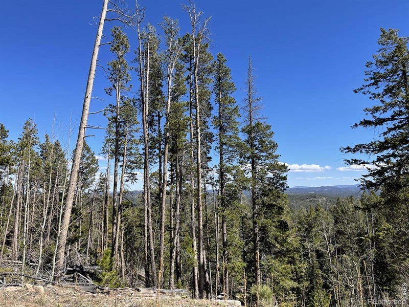 66 Piegan Ct, Red Feather Lakes, CO 80545