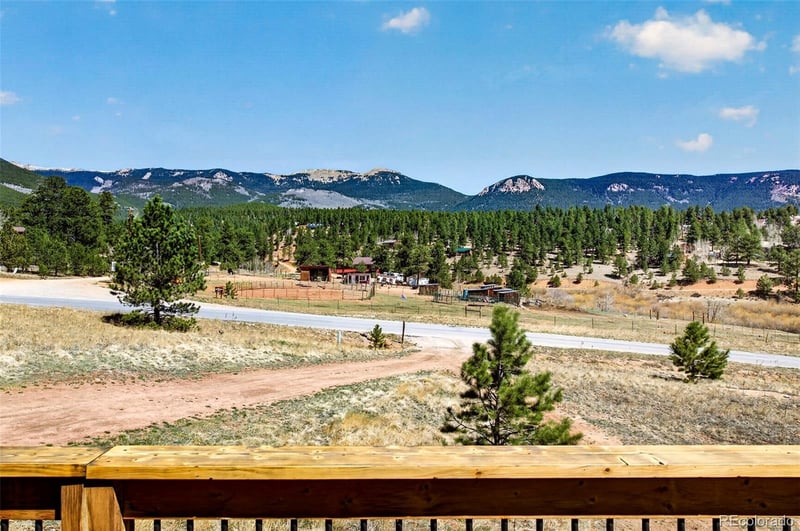 1328 Clark Rd, Bailey, CO 80421
