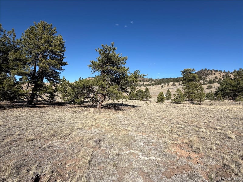 616 Guipago Trl, Hartsel, CO 80449