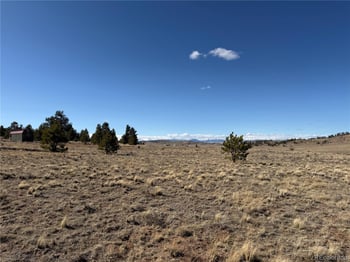 616 Guipago Trl, Hartsel, CO 80449