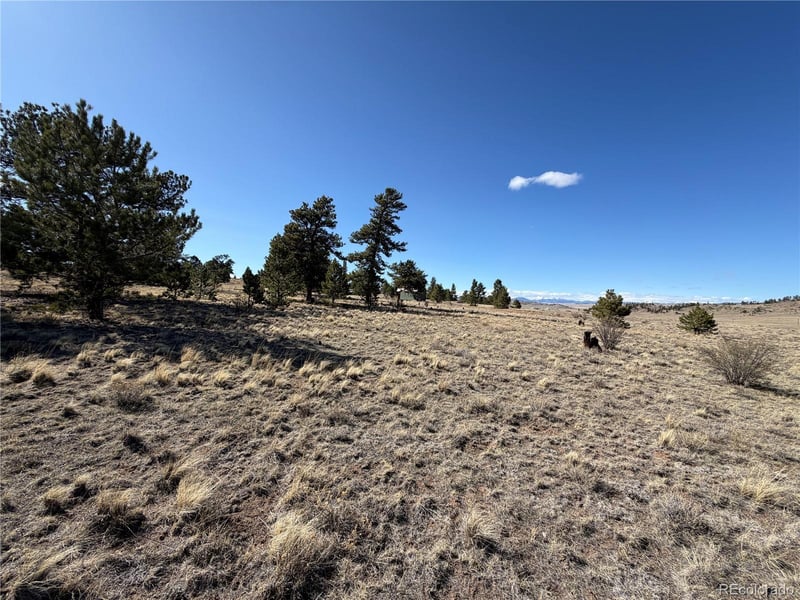 616 Guipago Trl Lot 5754, Hartsel, CO 80449