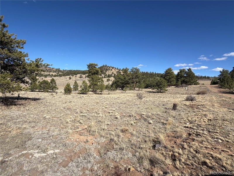 616 Guipago Trl Lot 5754, Hartsel, CO 80449