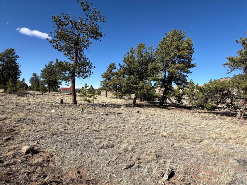 616 Guipago Trl Lot 5754, Hartsel, CO 80449