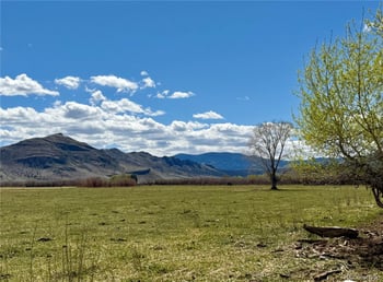 Hazard Ranch Sub, Saguache, CO 81149