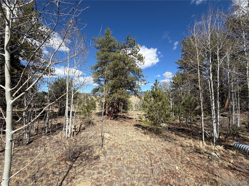 239 Shenandoah Pa, Hartsel, CO 80449