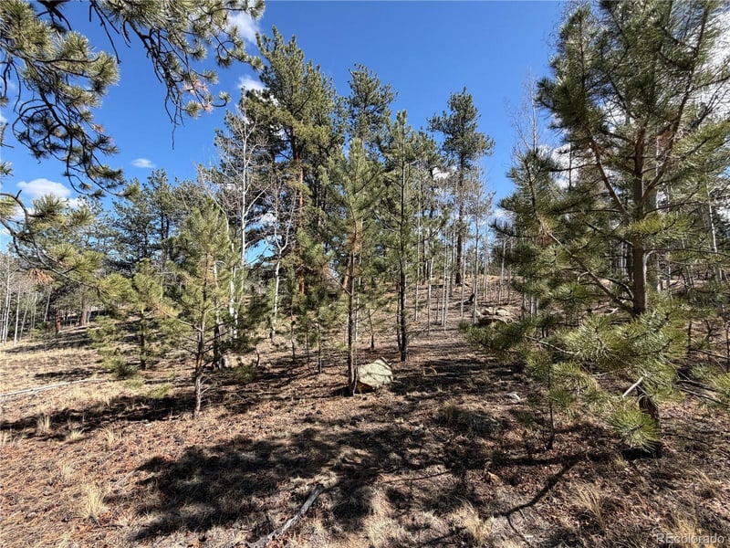 239 Shenandoah Pa, Hartsel, CO 80449