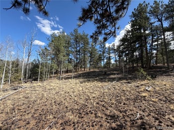 239 Shenandoah Pa, Hartsel, CO 80449