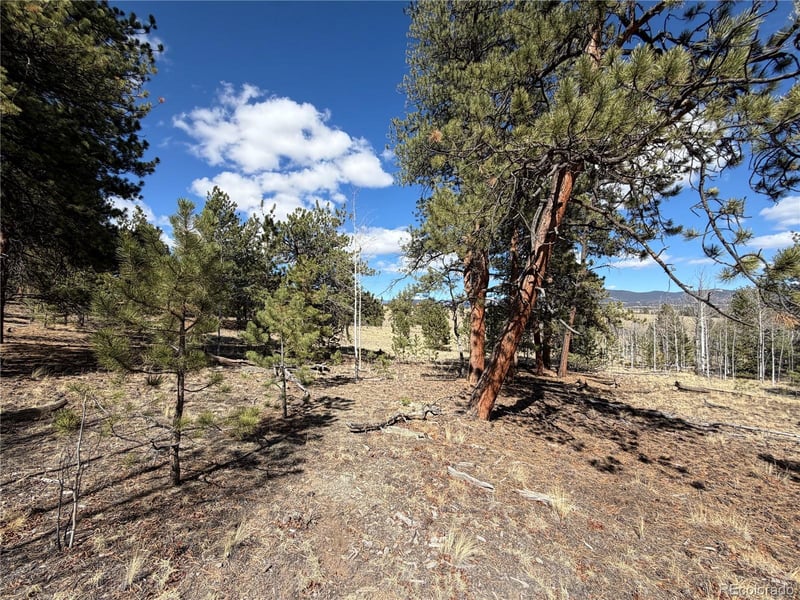 239 Shenandoah Pa, Hartsel, CO 80449