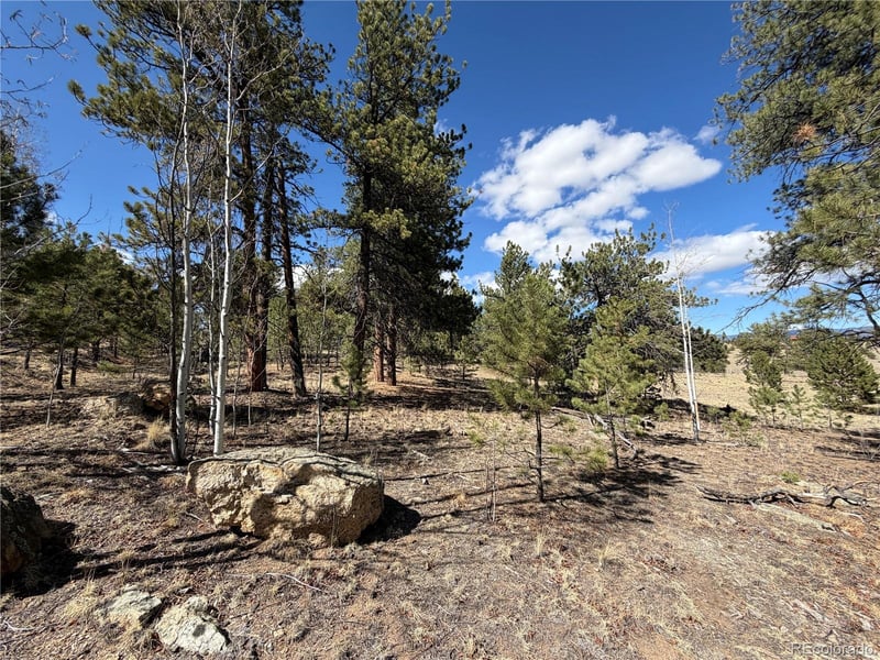 239 Shenandoah Pa, Hartsel, CO 80449