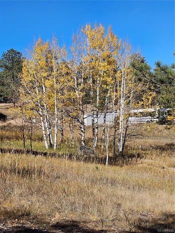 1504 County Road 43, Bailey, CO 80421