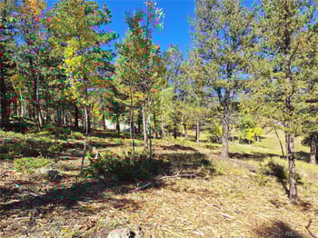 1504 County Road 43, Bailey, CO 80421