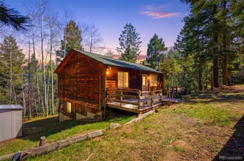 10215 Crystal Dr, Morrison, CO 80465