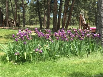 5030 Cedar Way, Elizabeth, CO 80107