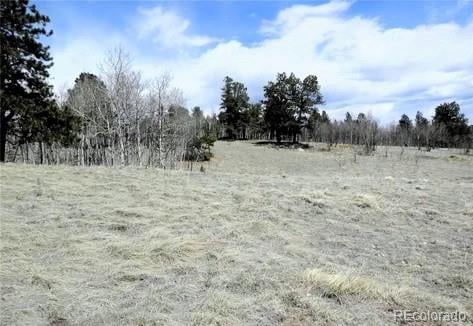 47 Hidden Valley, Florissant, CO 80816
