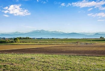 County Road 76 1/2, Windsor, CO 80550