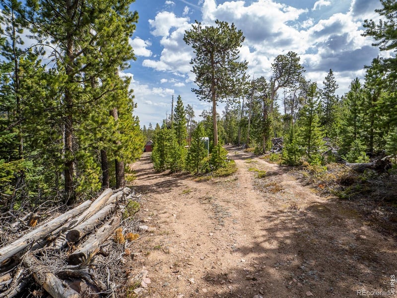 1836 Shoshoni Dr, Red Feather Lakes, CO 80545