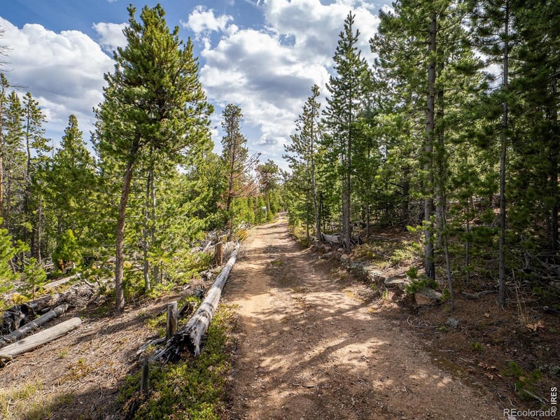 1836 Shoshoni Dr, Red Feather Lakes, CO 80545