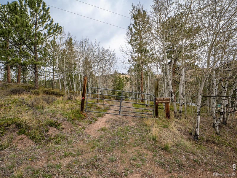384 Ute Ct, Red Feather Lakes, CO 80545