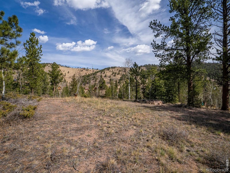 384 Ute Ct, Red Feather Lakes, CO 80545