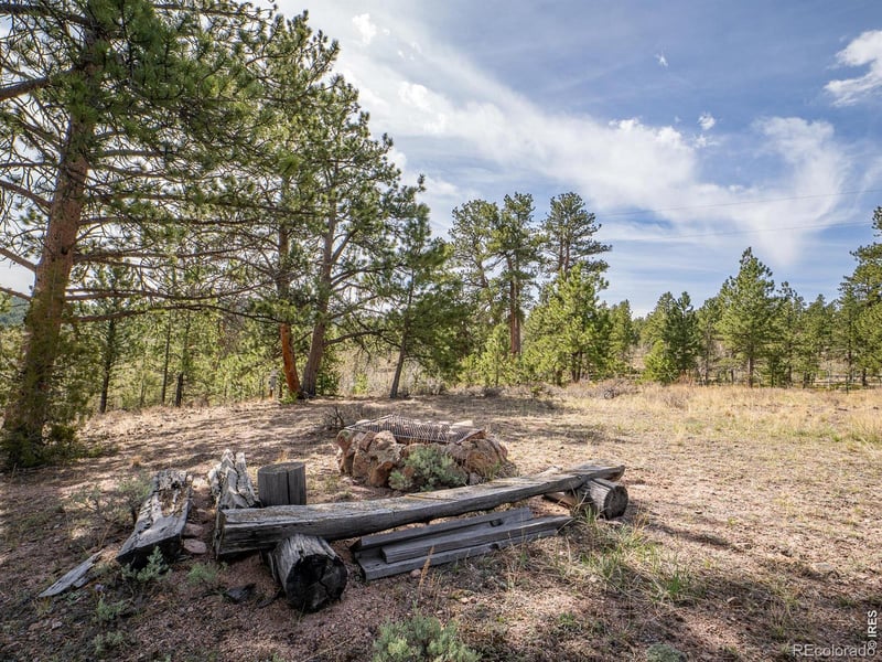 384 Ute Ct, Red Feather Lakes, CO 80545