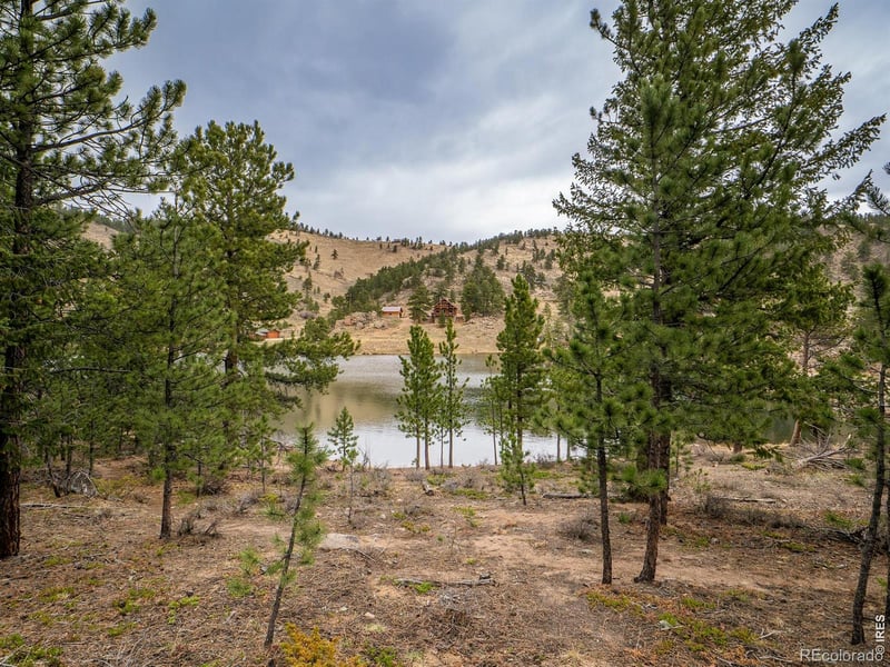 384 Ute Ct, Red Feather Lakes, CO 80545