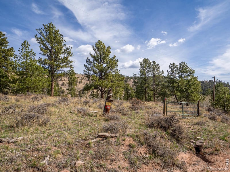 384 Ute Ct, Red Feather Lakes, CO 80545