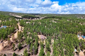 858 Fossil Creek Rd, Florissant, CO 80816