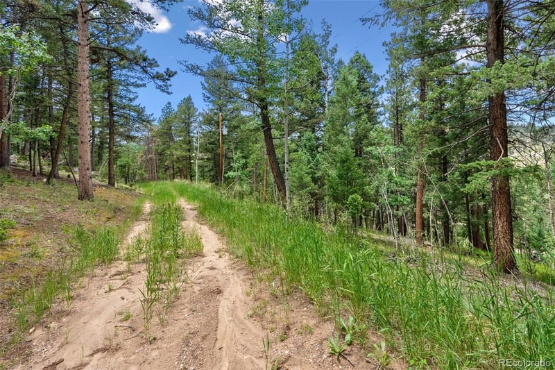 135 Linda Trl, Bailey, CO 80421